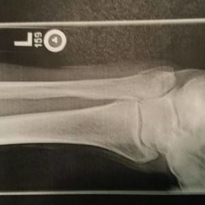 Meet your Posher, Randy